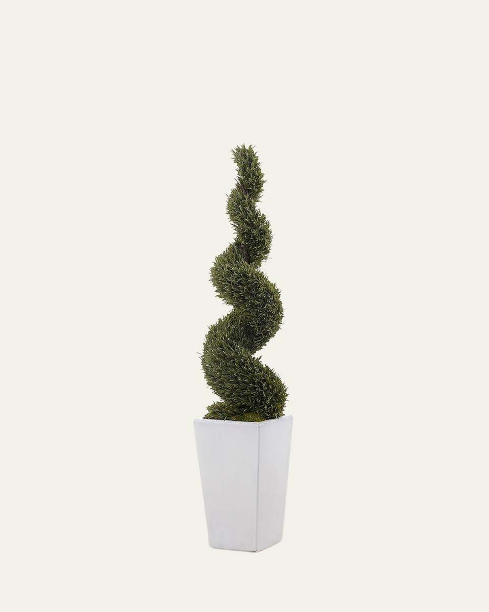 White Rosemary in Ceramic Pot